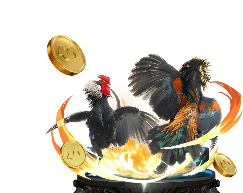 Kèo Meron trong đá gà happy8